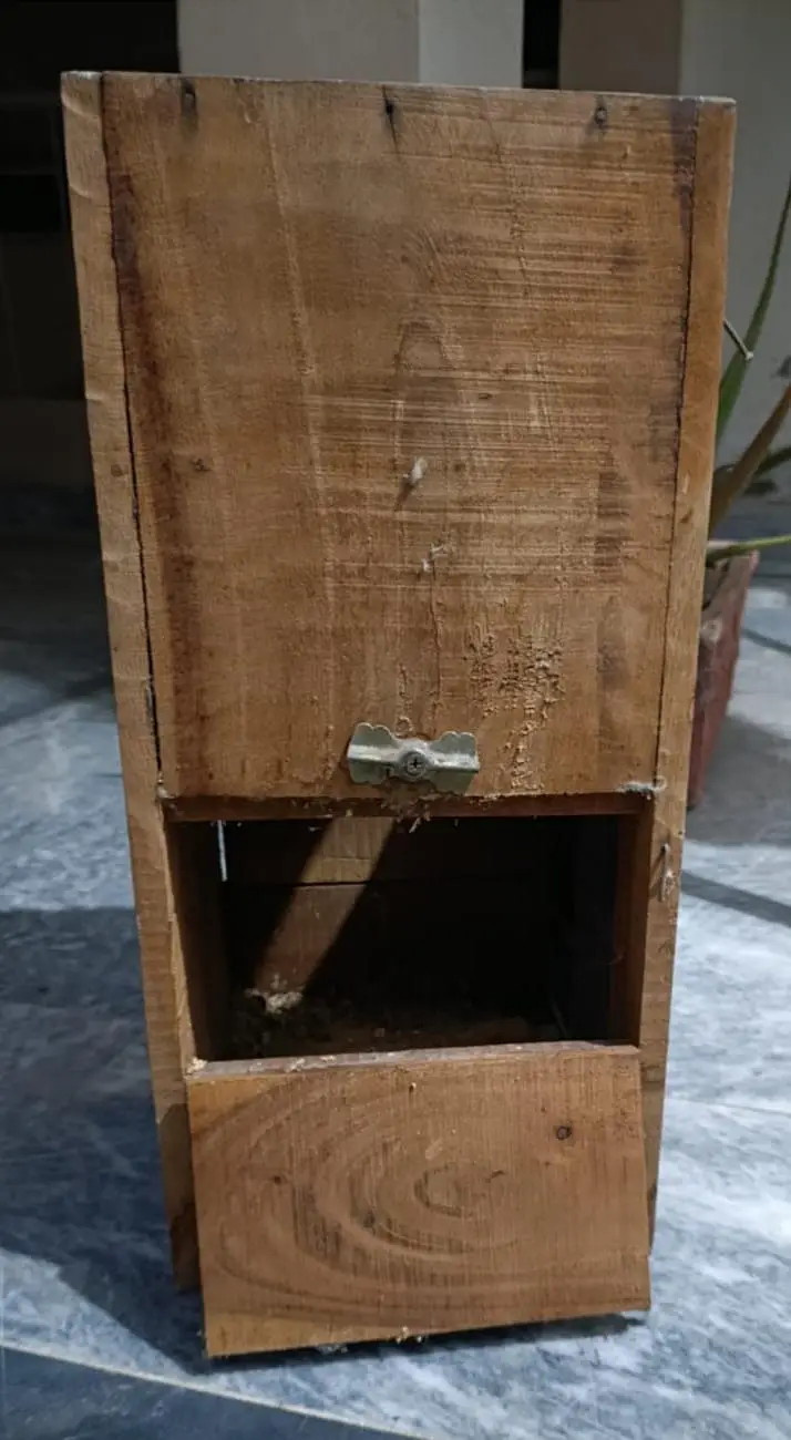 ring neck breeder box — photo 2