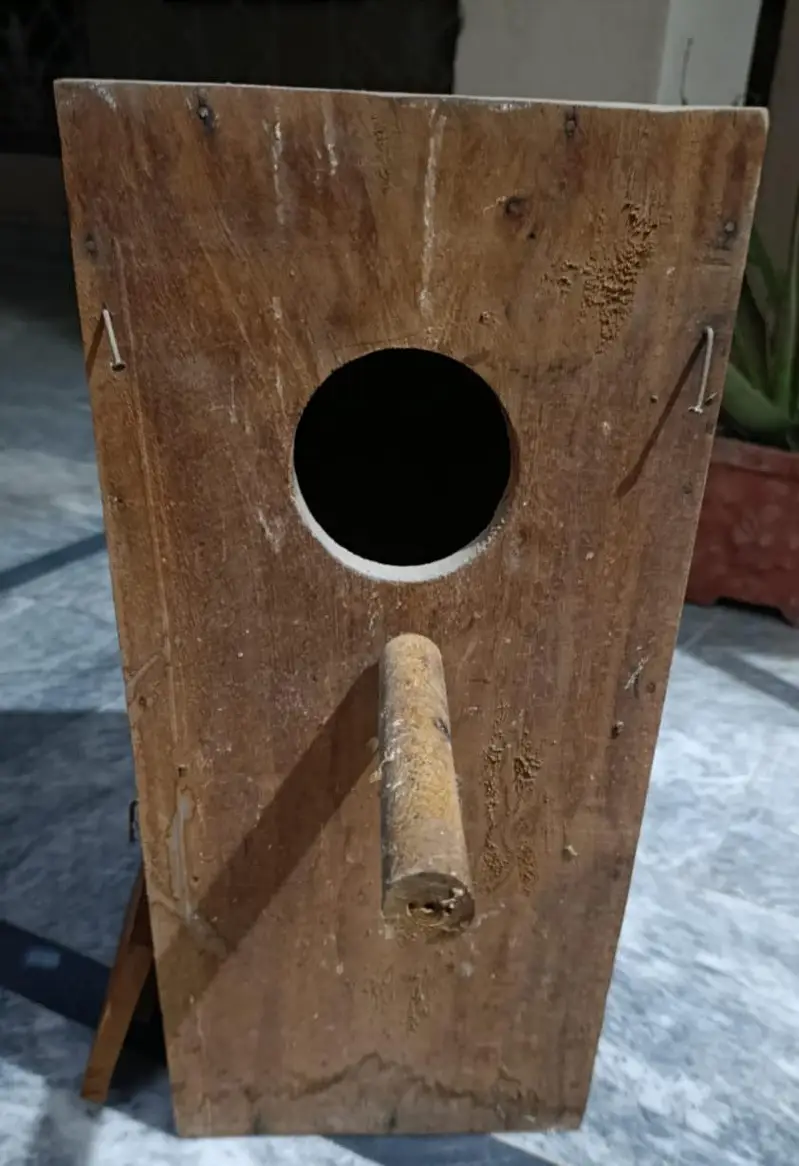 ring neck breeder box — photo 3