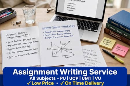 Assignments Writing Service for all university -low price