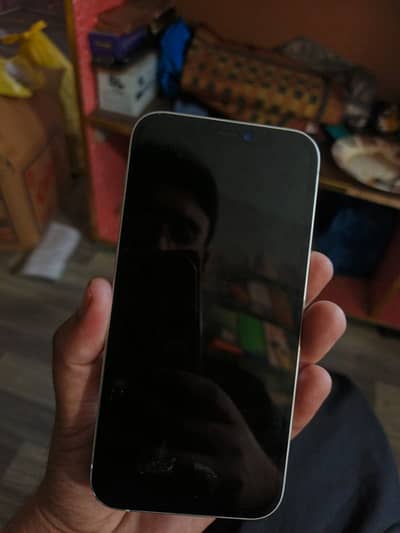 Apple iPhone 12