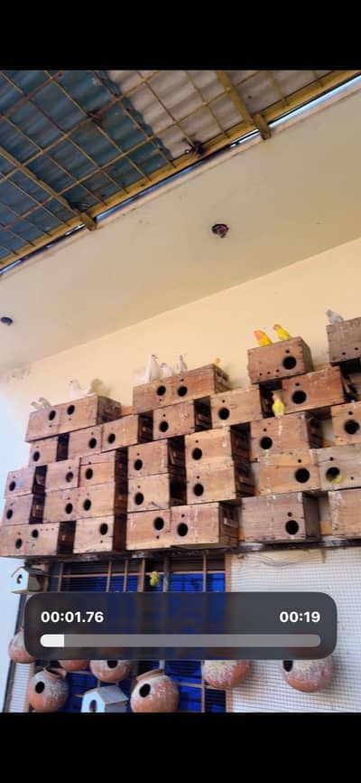 Breeding box 2 hand