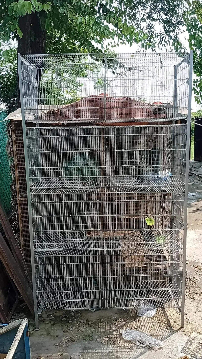 8 compartment galvanized wire cage — photo 2
