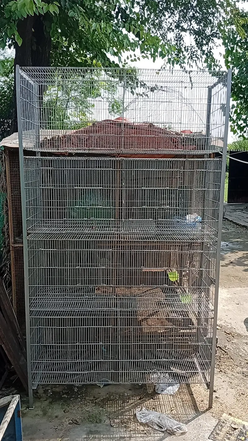 8 compartment galvanized wire cage — photo 3