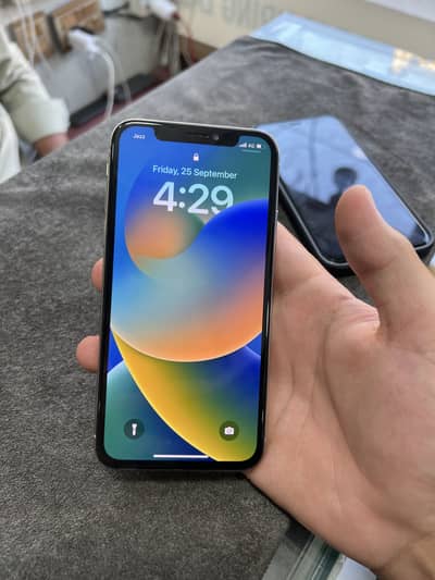 Apple iPhone X
