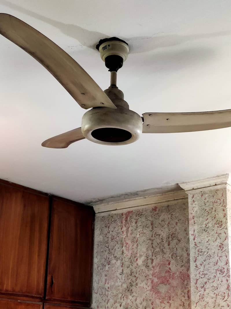 flat apartment 6