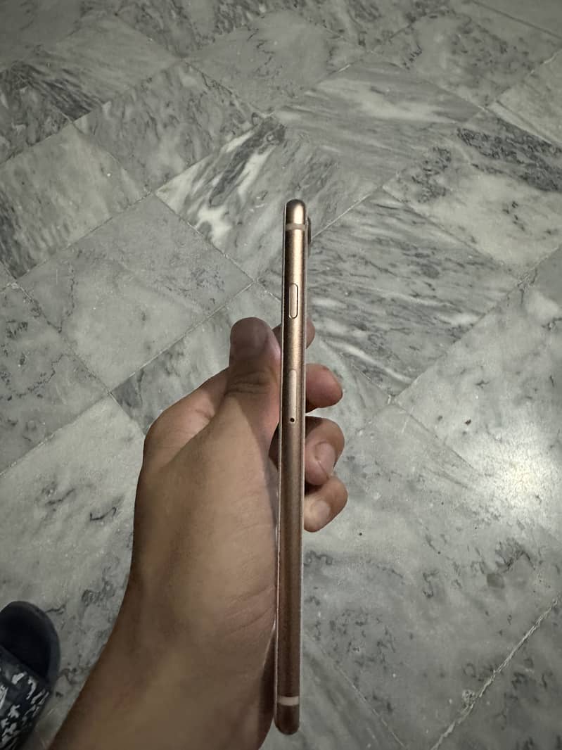 Apple iPhone 8 Plus 3