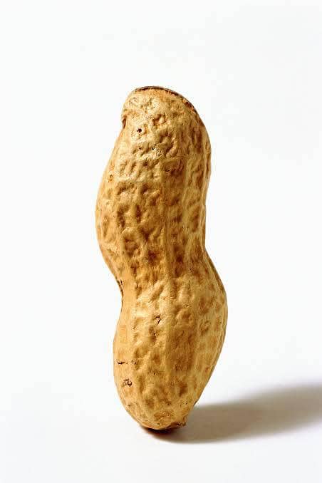 moonghphali 2