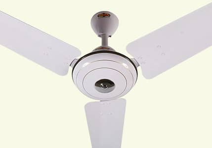 Asia fan