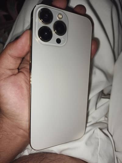 Apple iPhone 13 Pro Max