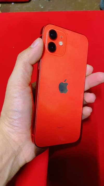 iPhone 12