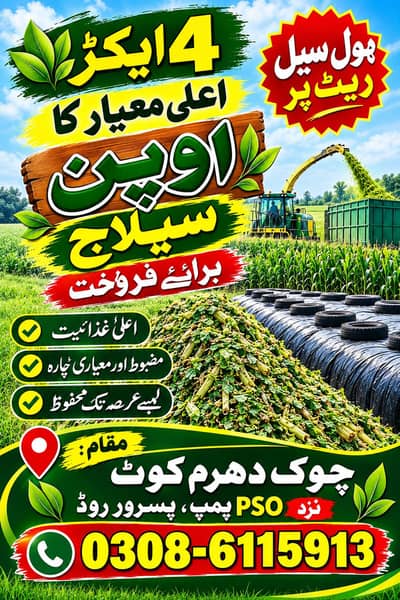 4 Acre High Quality Silage For Sale | Wholesale Rate