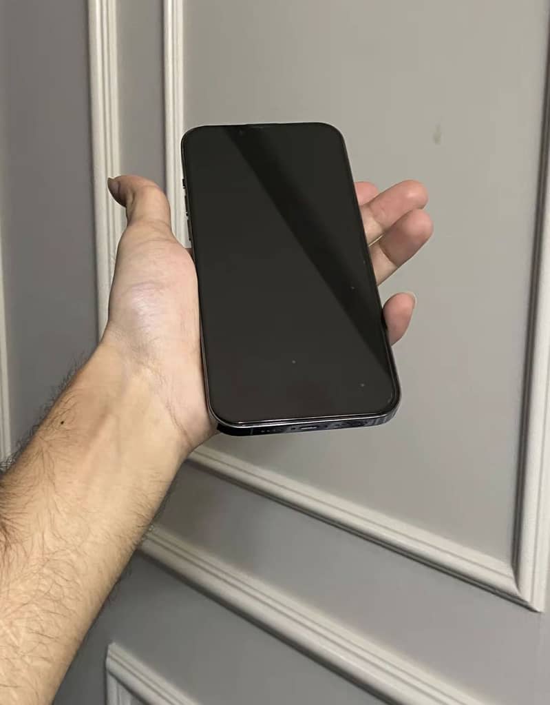 Apple iPhone 13 Pro Max 1