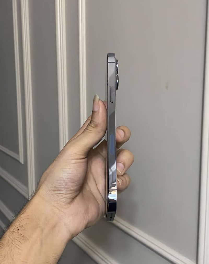 Apple iPhone 13 Pro Max 2