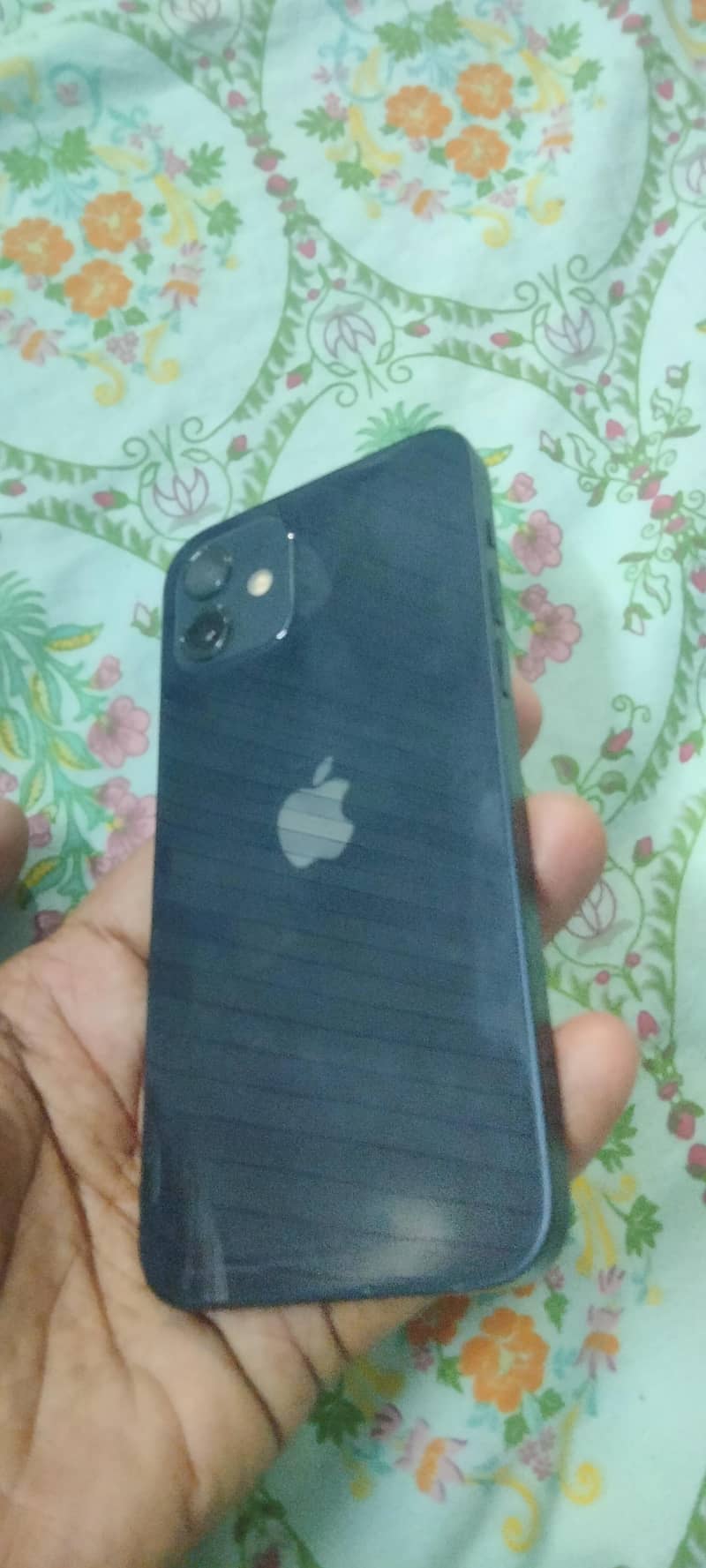 Apple iPhone 12 1
