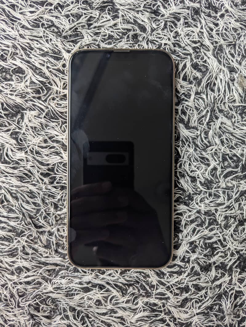 Apple iPhone 13 Pro Max 3