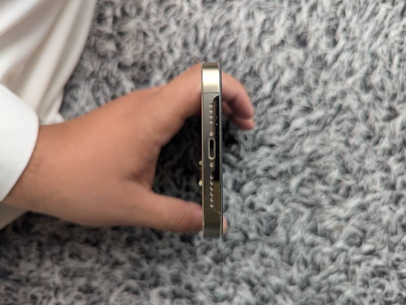Apple iPhone 13 Pro Max 1