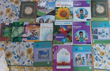 A used complete book set of class 6th beaconhouse school system