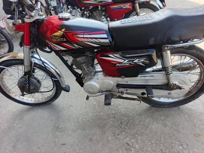 new Bick