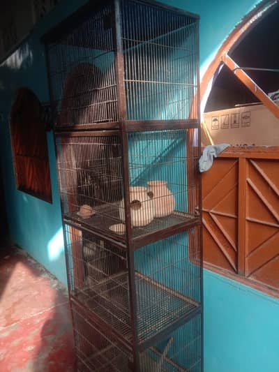 bird cage