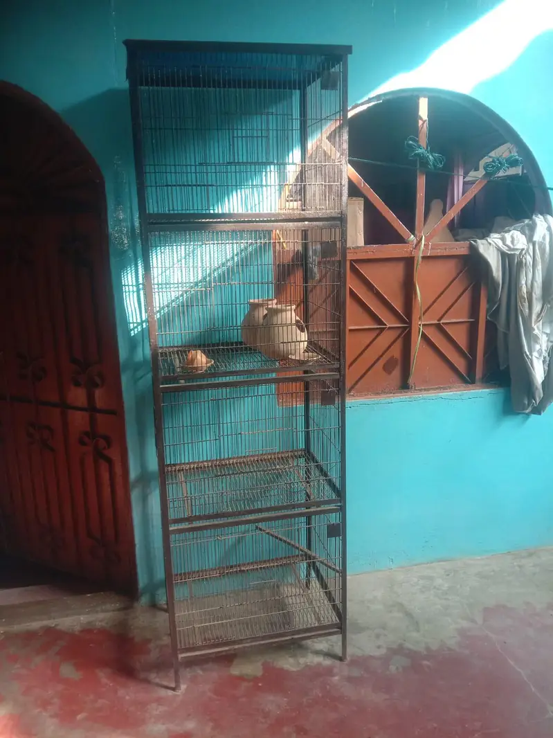 bird cage — photo 2