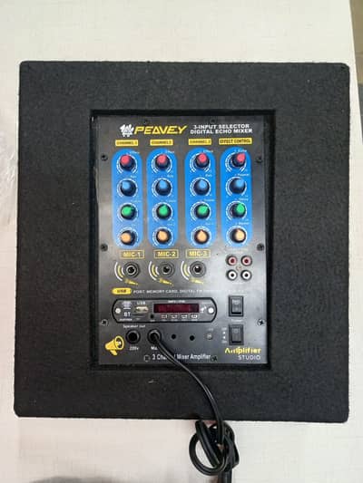 New 3 Channel Mixer Amplifier | Digital Echo | 2×10" Speaker