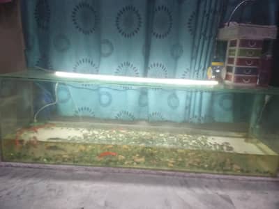 aquarium