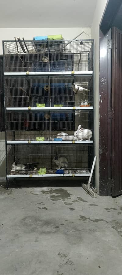 8 portion cage for sale