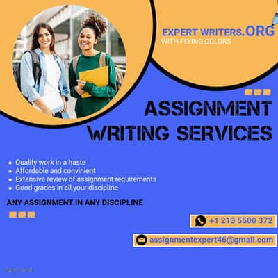 professinal assignment writer sarvice all subjects and levels