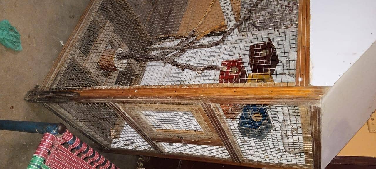 parrot cage 1