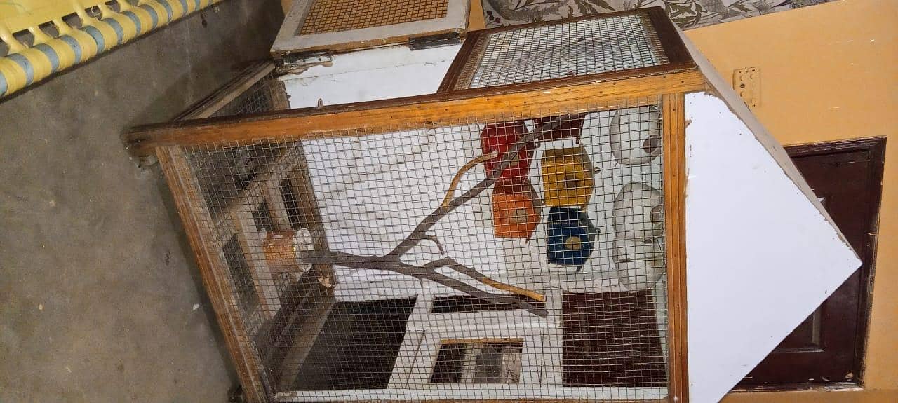 parrot cage 2