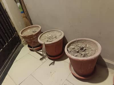 Plant Pots