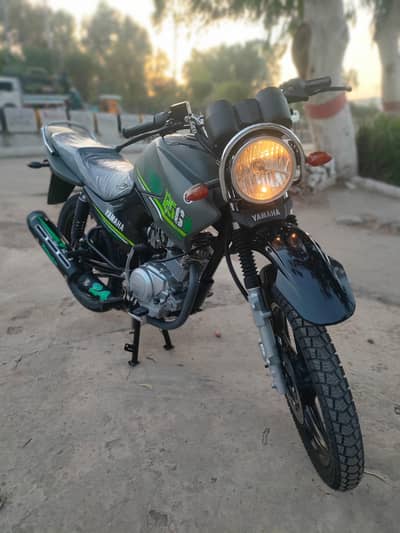 Yamaha Ybr 125G 2024 Scretchless