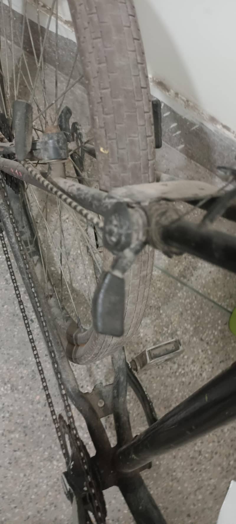 bicycles 5