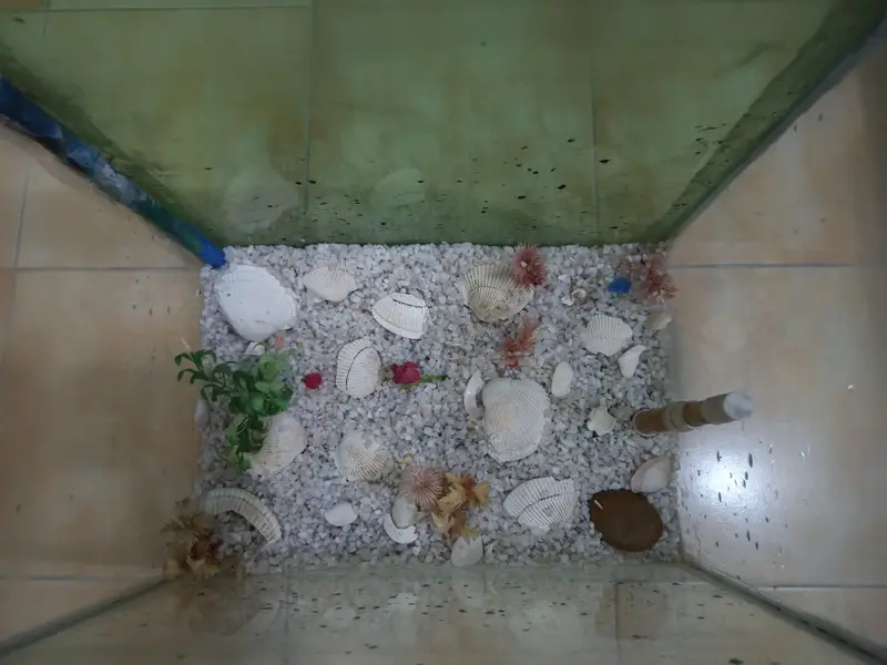 1.5 foot medium size aquarium — photo 2