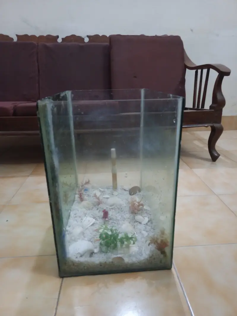 1.5 foot medium size aquarium — photo 3
