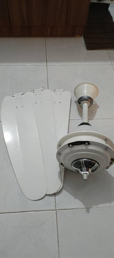 Pervaaz fans for sale