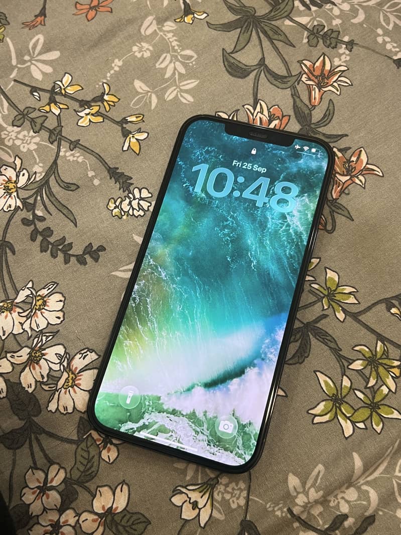 Apple iPhone 12 Pro Max 4