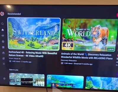Haier 55 inch New LED