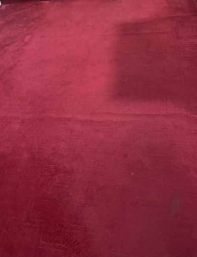 Maroon Red Carpet with Foam for Sale