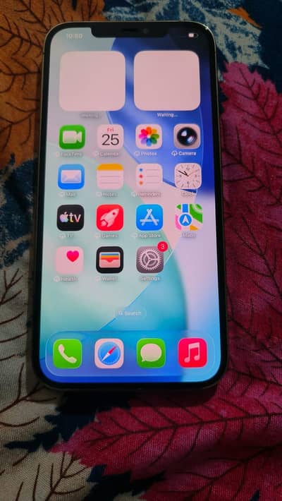 Apple iPhone 12 Pro Max