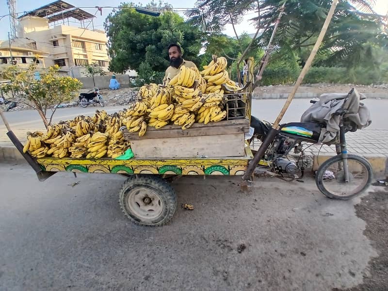 Bike Loader Rikshaw 2