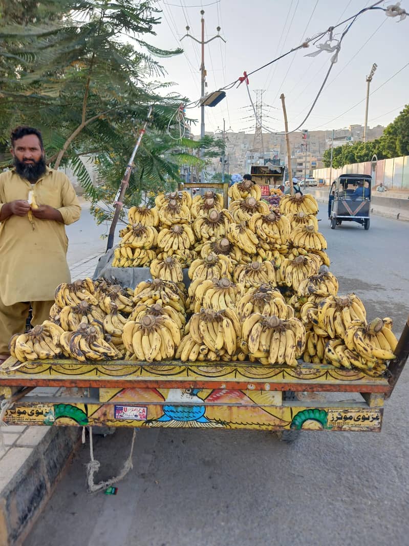 Bike Loader Rikshaw 3