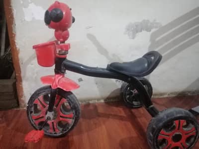 bacho ki cycle.