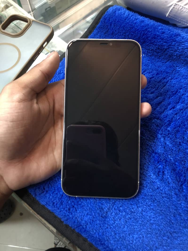 Apple iPhone 12 Pro Max 1