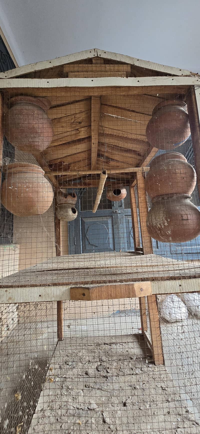 solid wood cage 3