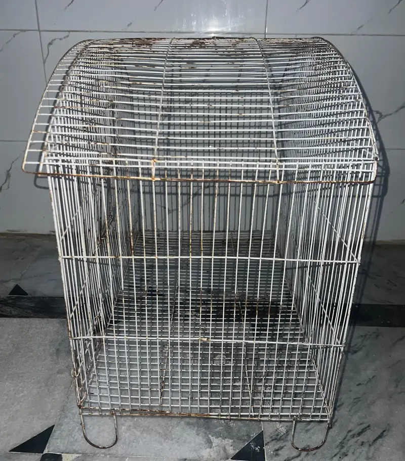 cage for birds — photo 2