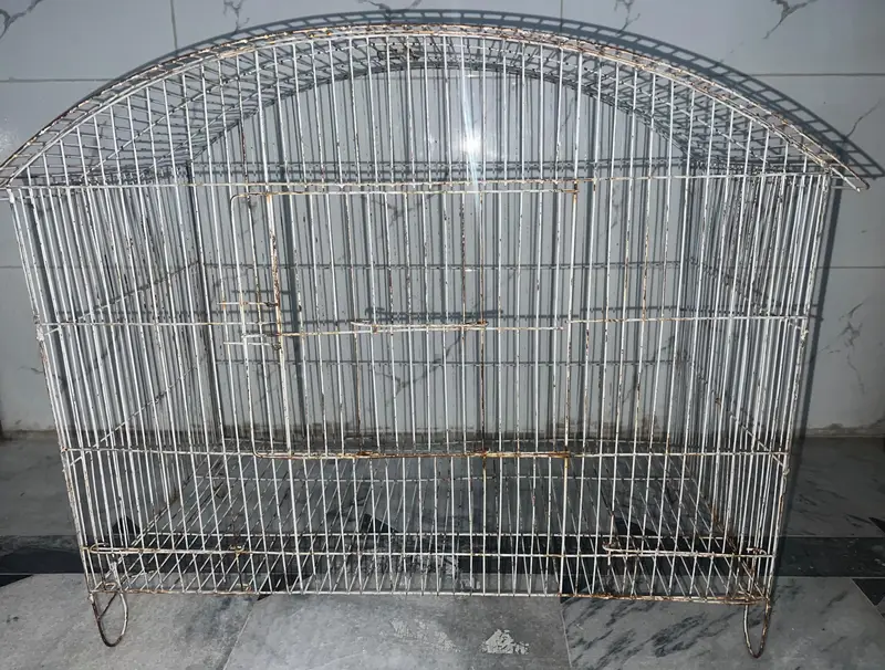 cage for birds — photo 4