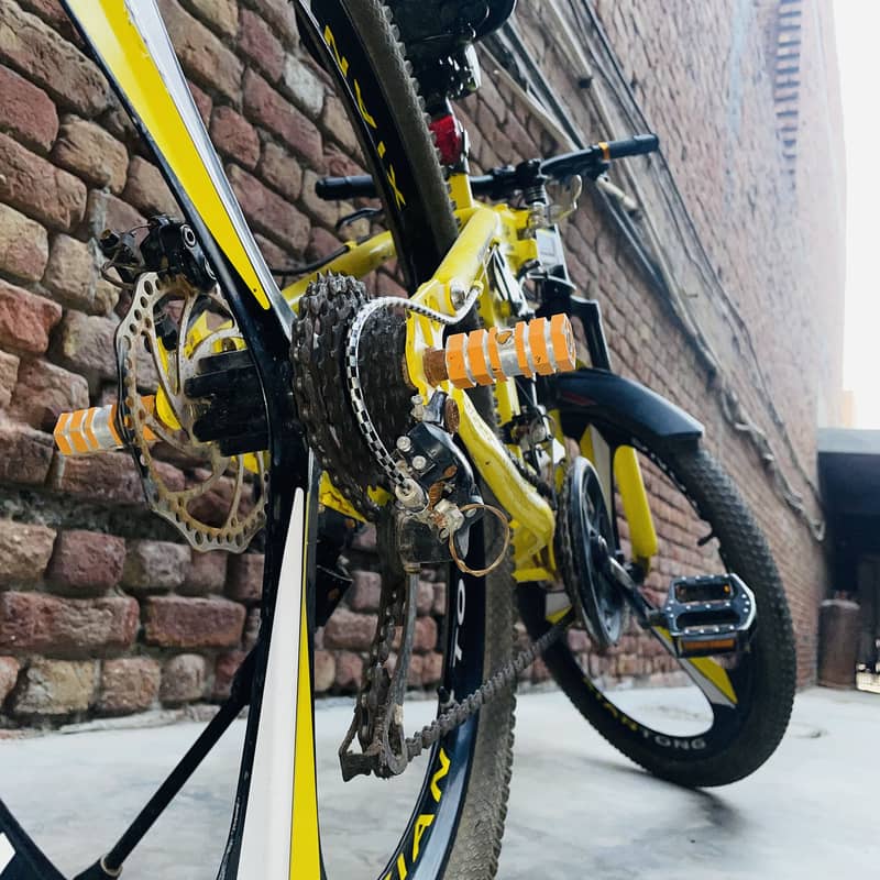 Morgan foldable mtb 2