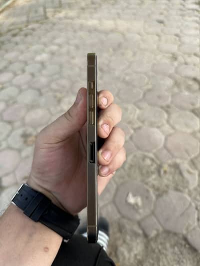 Apple iPhone 12 Pro Max