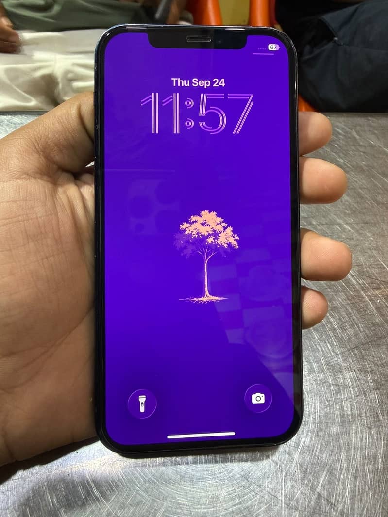 Apple iPhone 12 2